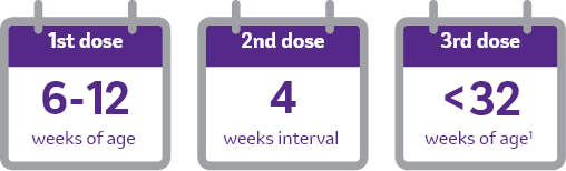 1st dose 6-12 weeks of age, 2nd dose 4 weeks interval, 3rd dose above 32 weeks of age
