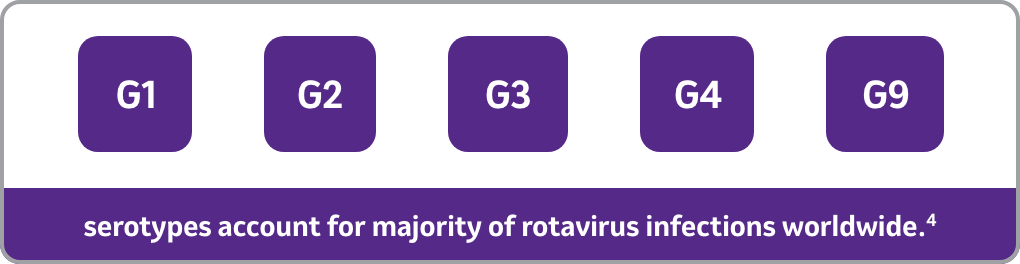 serotypes account for majority of rotavirus infections worlwide